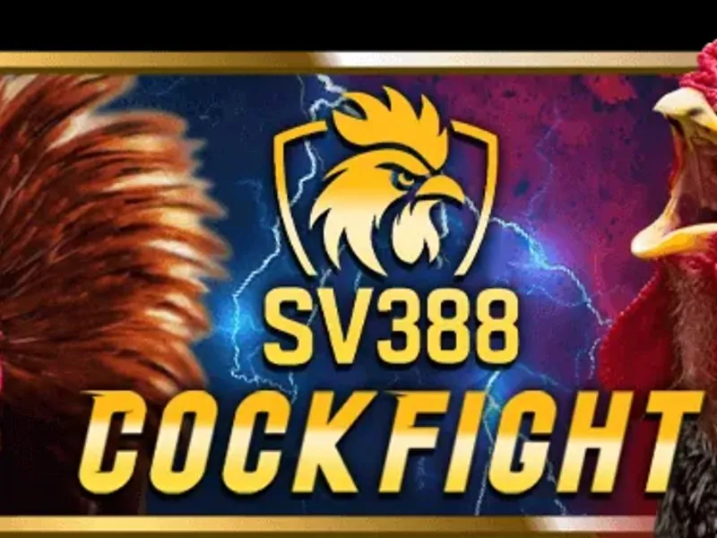 Phân tích kỹ lưỡng các chiến kê